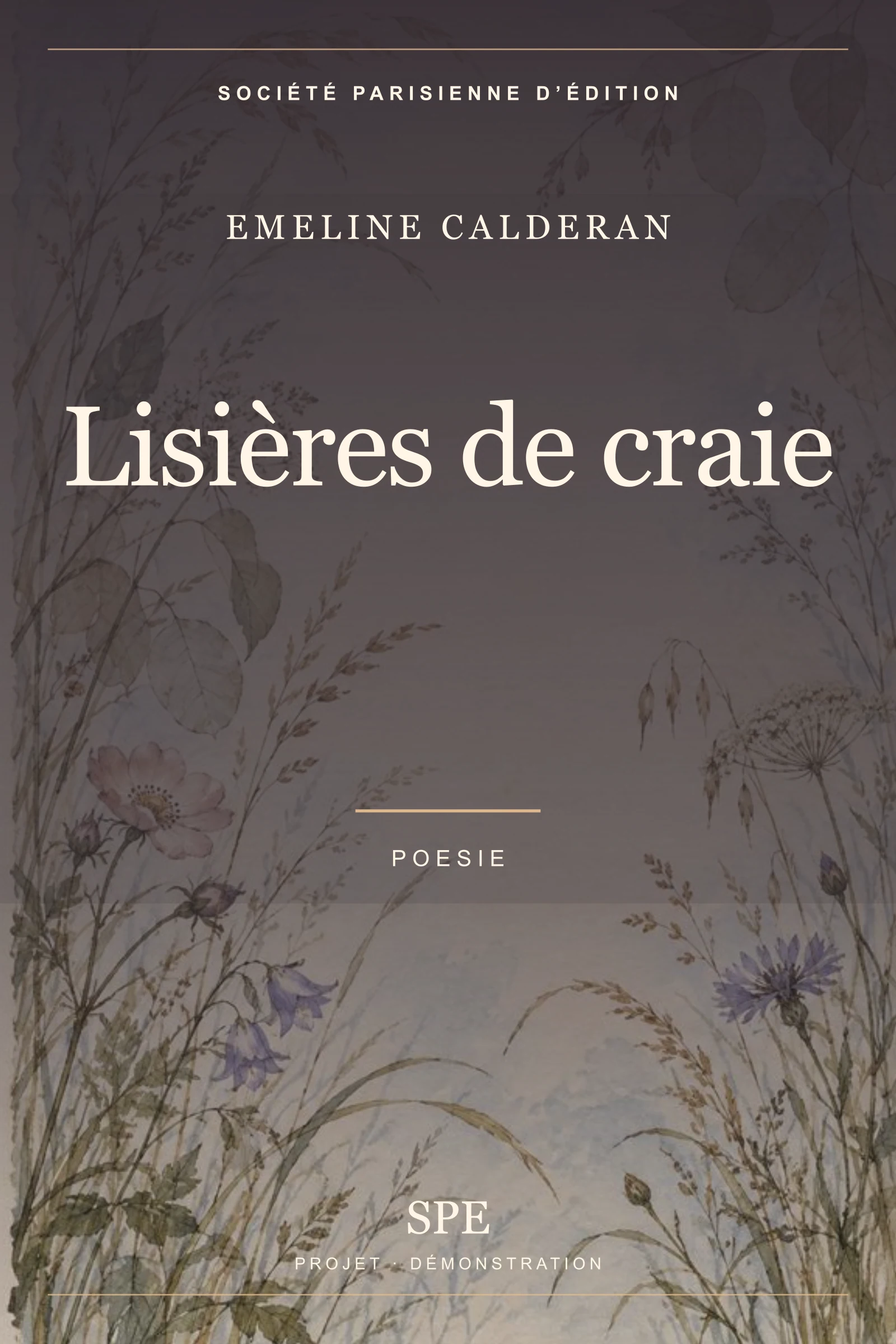Couverture fictive : Lisières de craie