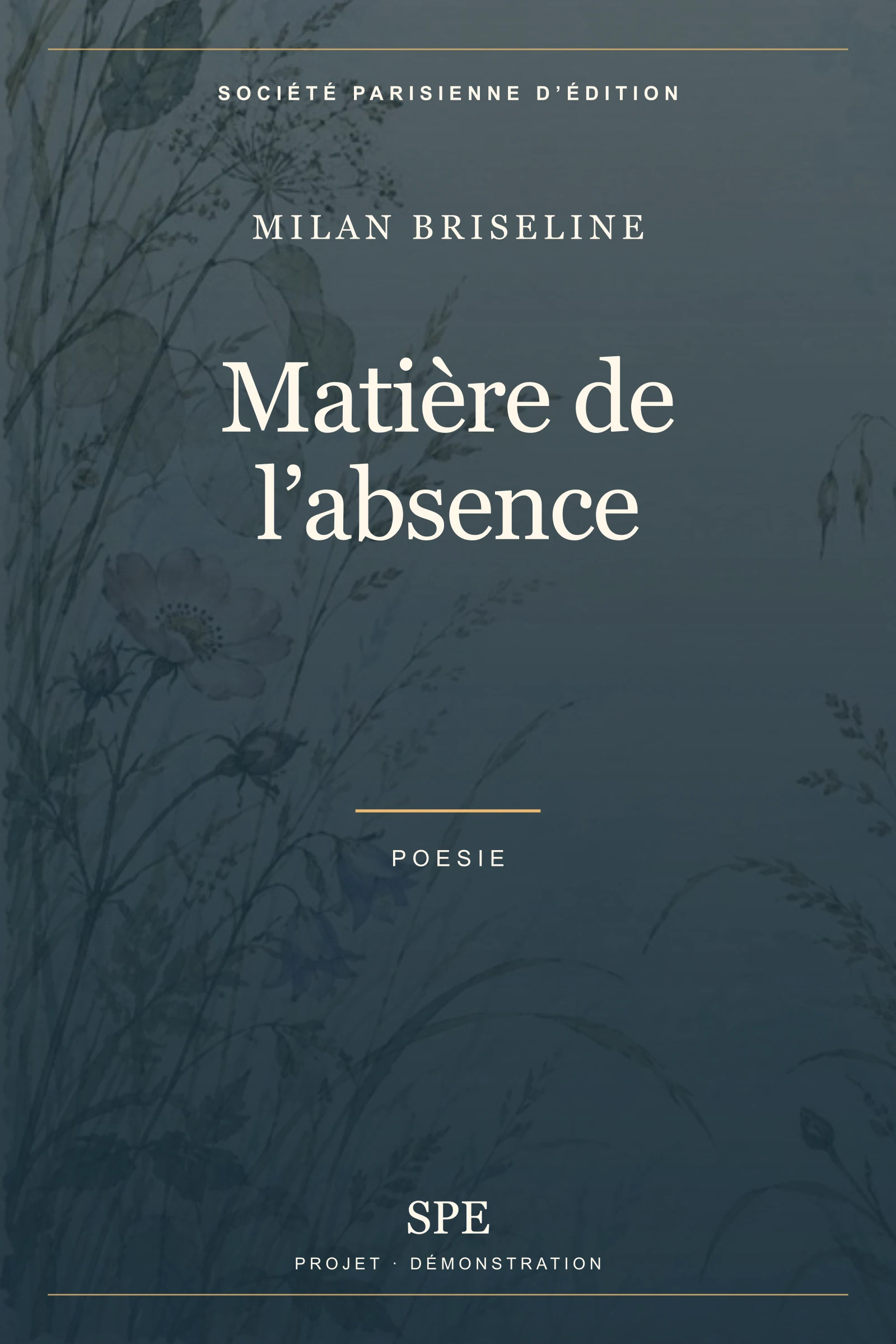 Couverture fictive : Matière de l’absence