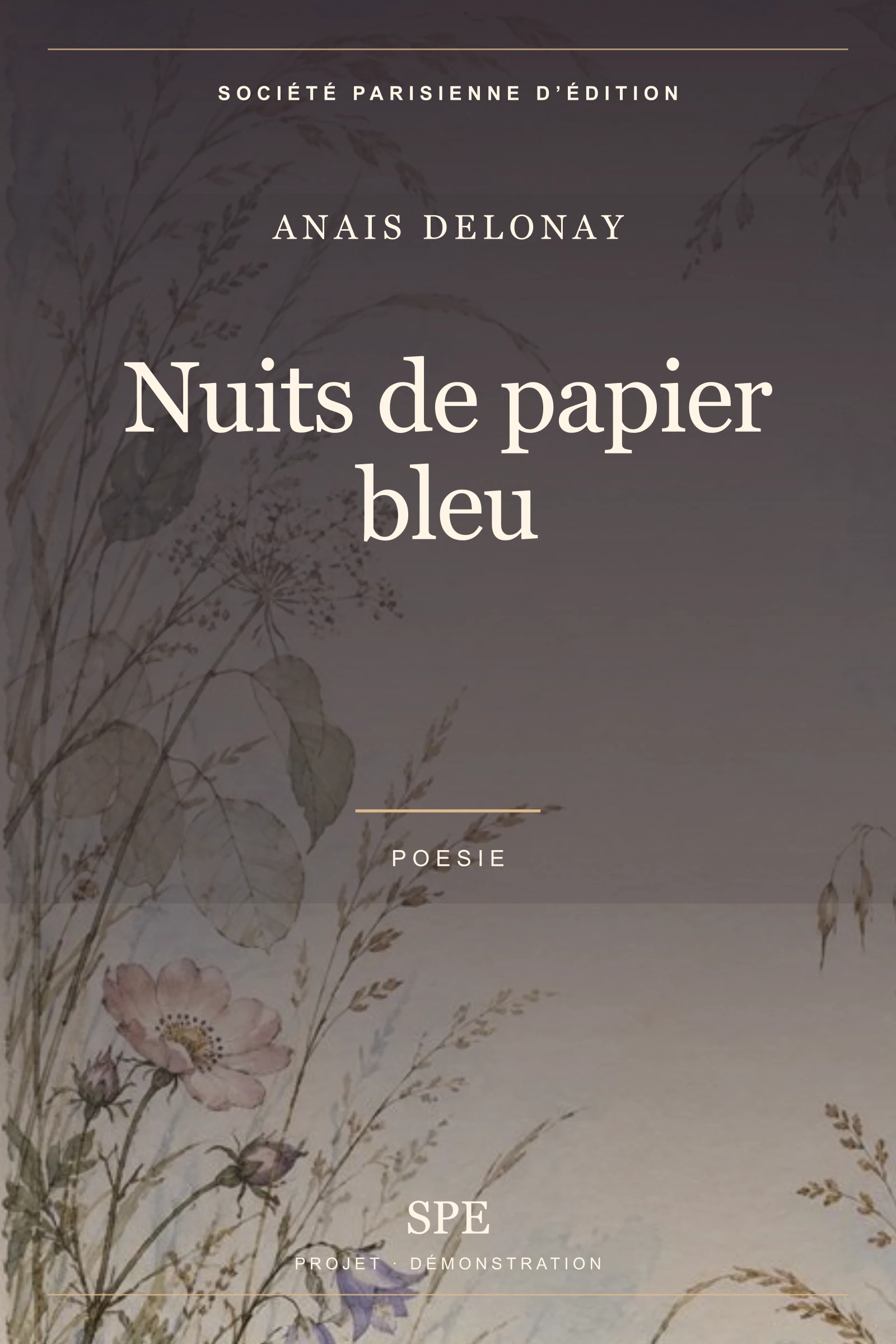 Couverture fictive : Nuits de papier bleu